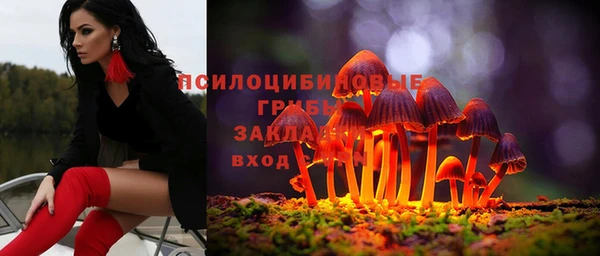 молекула духа Алзамай