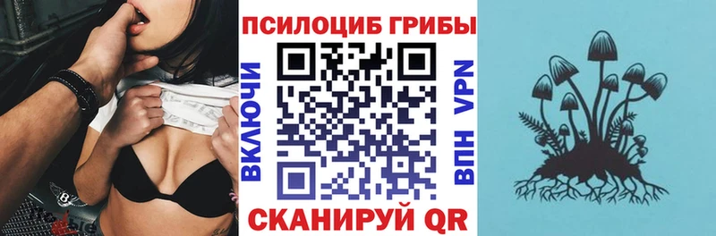 магазин    Чишмы  MEGA рабочий сайт  Галлюциногенные грибы GOLDEN TEACHER 