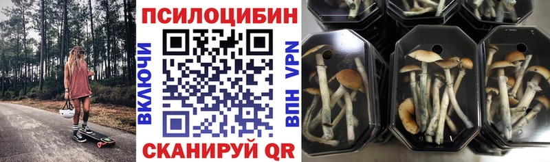Псилоцибиновые грибы Psilocybine cubensis Чишмы