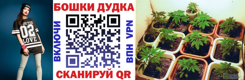 Канабис план маркетплейс официальный сайт Чишмы ОМГ ОМГ вход